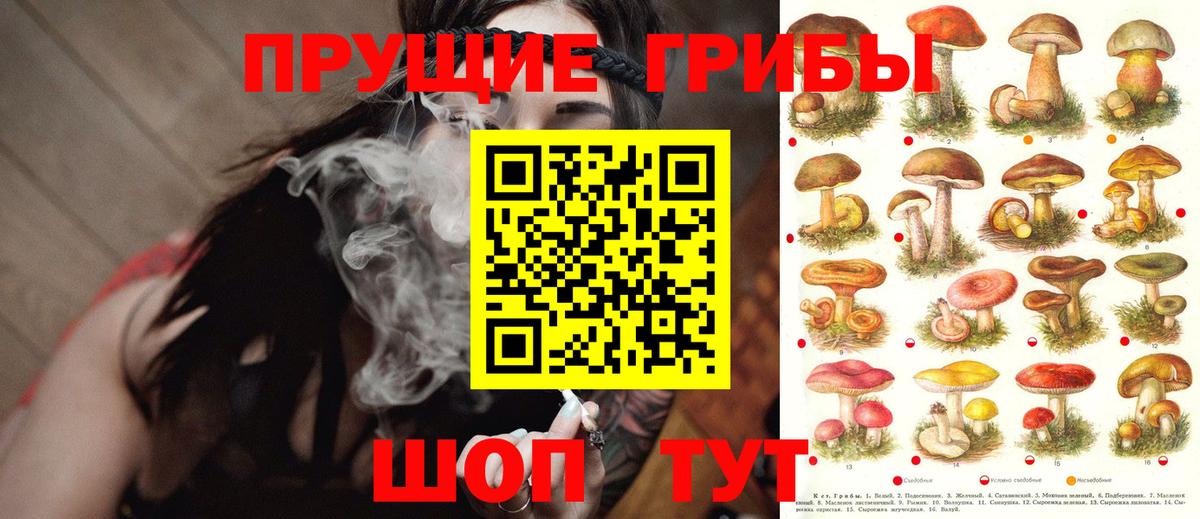 Галлюциногенные грибы Magic Shrooms  Псилоцибиновые грибы MAGIC MUSHROOMS  Вход с VPN  Рассказово 