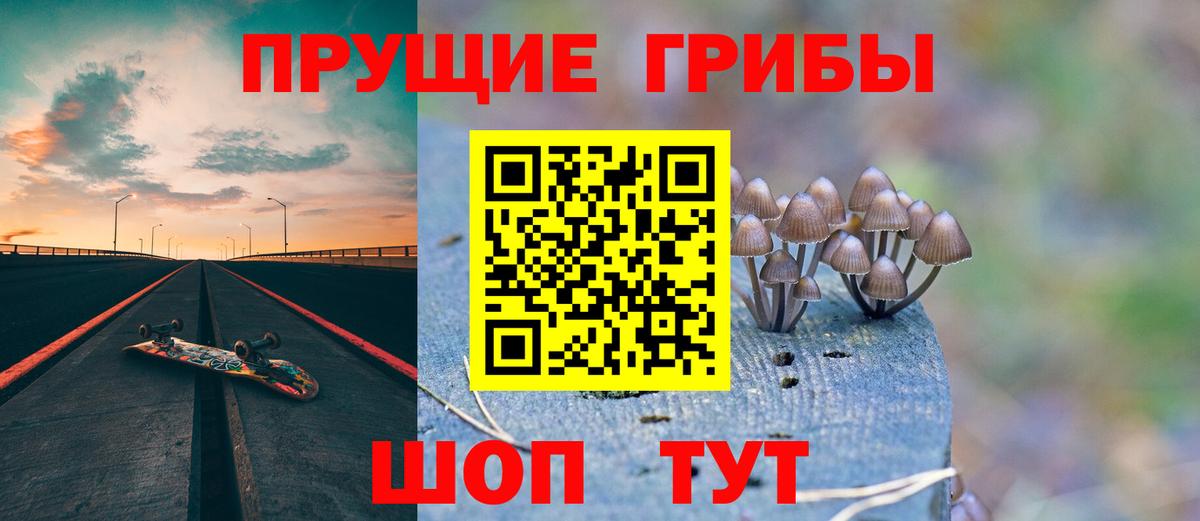 Галлюциногенные грибы Psilocybine cubensis Рассказово